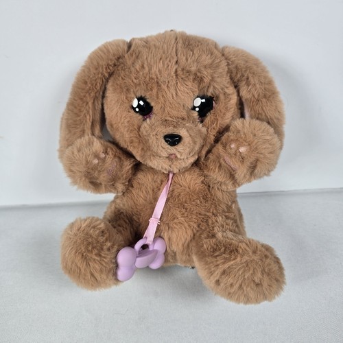 Baby paws cocker spaniel - paws,